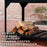 Premium Argentine/Santa Maria BBQ Grill with Wood Fire and Charcoal Grill