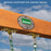 Heavy-Duty Durango Swing Set