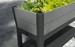 Keter Darwin 29 Gallon Raised Garden Bed - Graphite