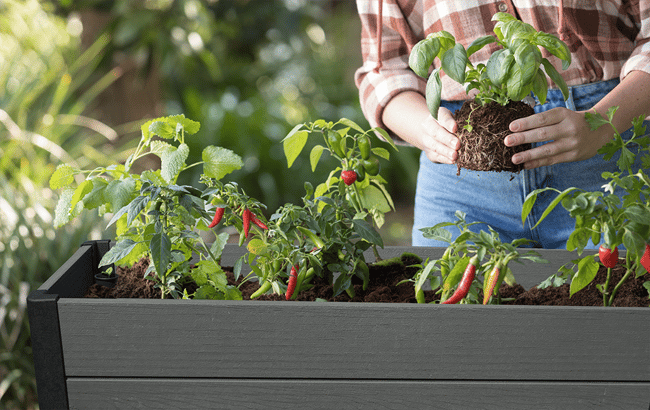 Keter Darwin 29 Gallon Raised Garden Bed - Graphite