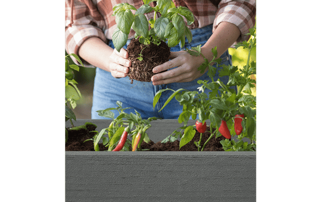 Keter Darwin 29 Gallon Raised Garden Bed - Graphite