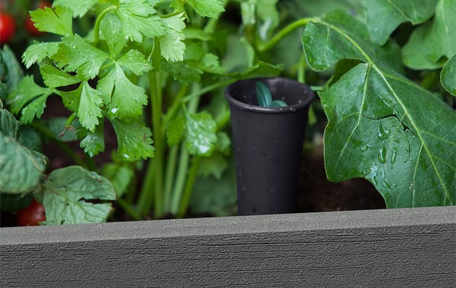 Keter Darwin 29 Gallon Raised Garden Bed - Graphite