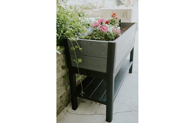 Keter Darwin 29 Gallon Raised Garden Bed - Graphite