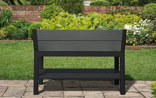 Keter Darwin 29 Gallon Raised Garden Bed - Graphite